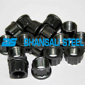 12 Point Flange Nuts Supplier in India