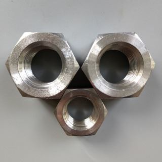 Stainless Steel Nutst Manufacturer in India