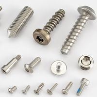Stainless Steel Custom Fasteners Manufacturer in India