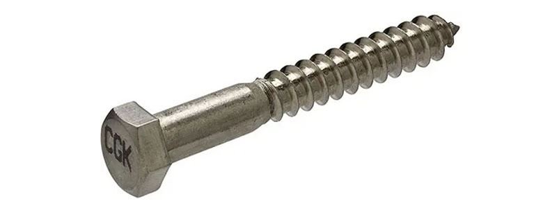 Lag Bolts Manufacturer in India Lag Bolts Manufacturer in India