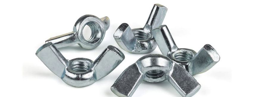 Wing Nut Manufacturer in India