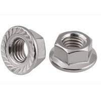 Flange Nut Supplier in India