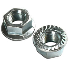 Flange Nut Manufacturer in Malaysia